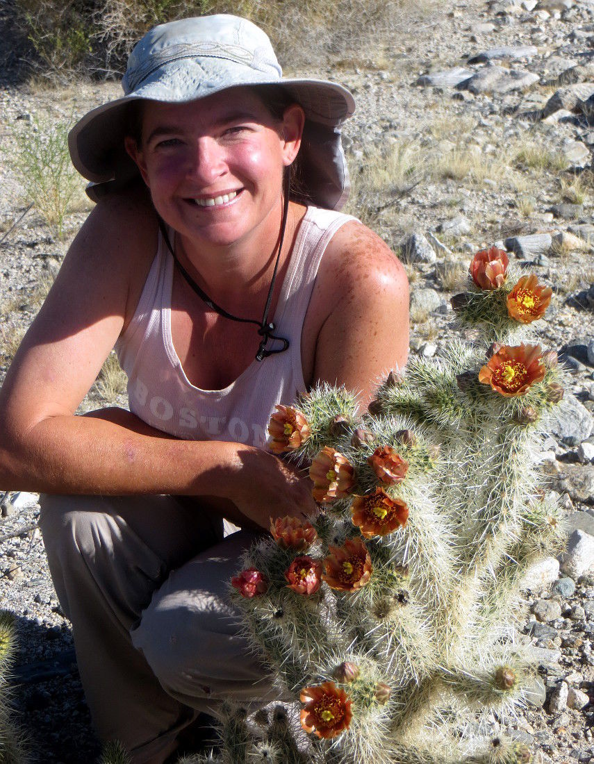 Sonoran XII Conference